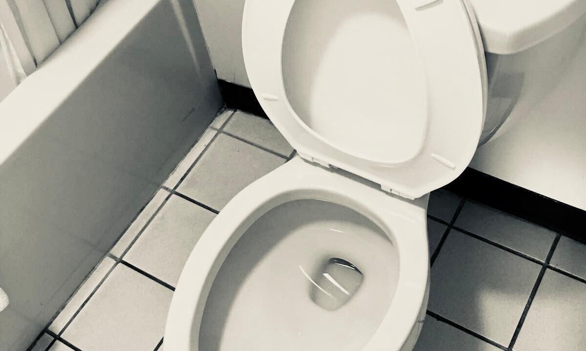 Photo of Others in Palestine