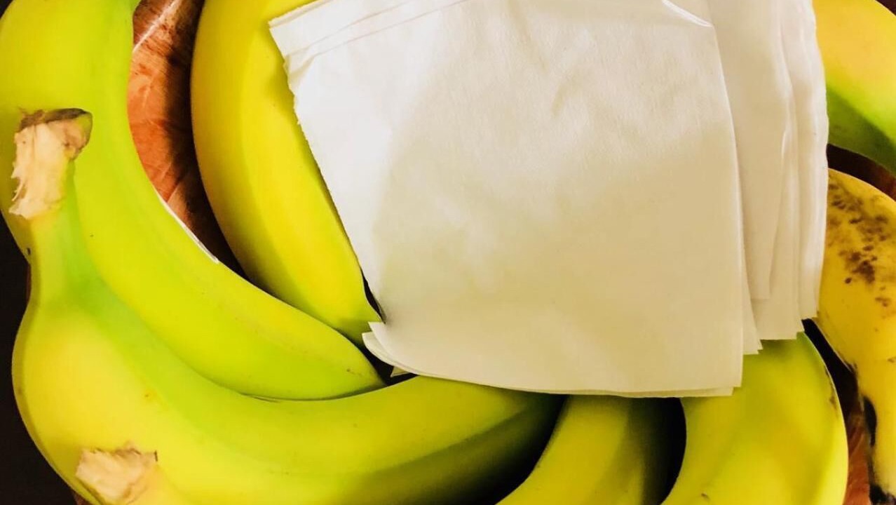 Photo of Others in Palestine