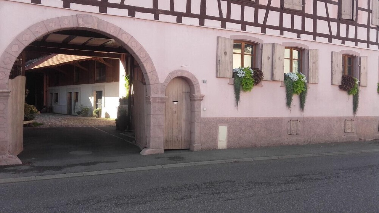 Photo of Outdoor in Bischwihr