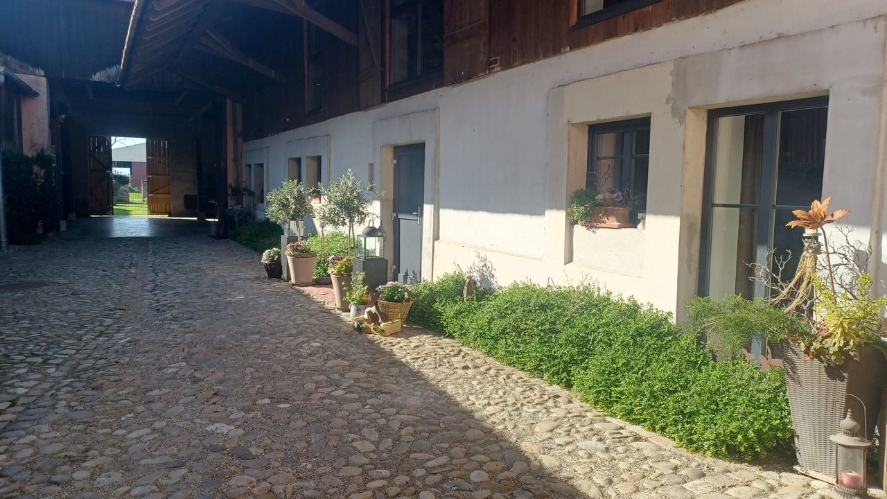 Photo of Outdoor in Bischwihr