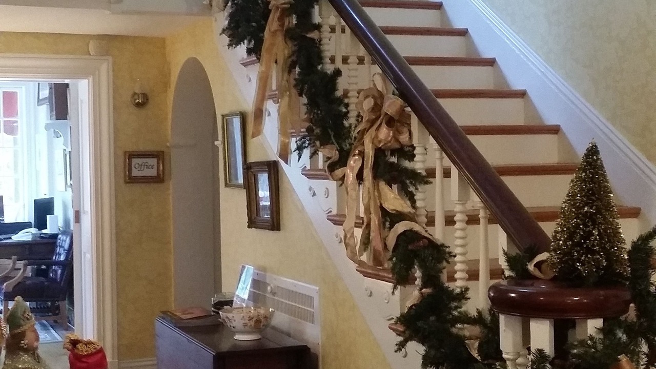 Photo of Others in Yorktown