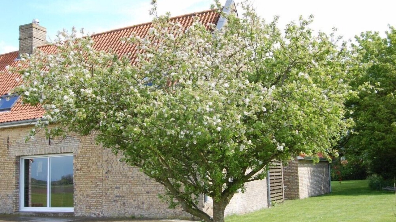 Photo of Outdoor in Saint-Folquin