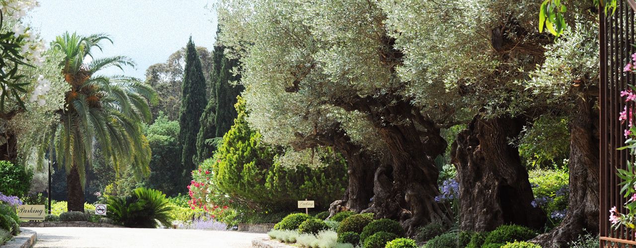 Photo of Outdoor in Cote d'Azur- French Riviera