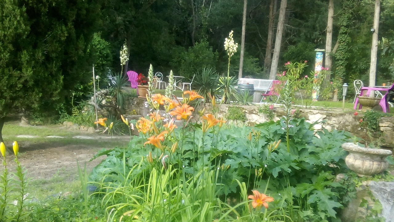 Photo of Patio Balcony in Saint-Paul-Trois-Chateaux