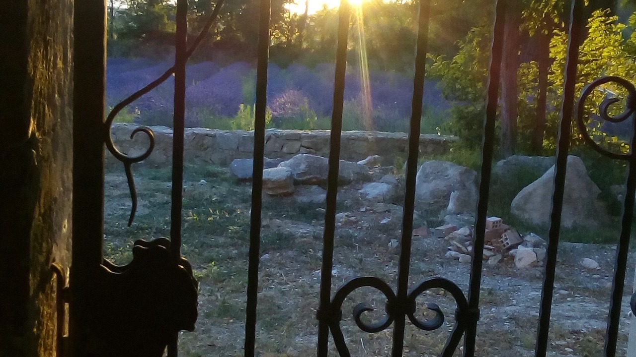 Photo of Outdoor in Saint-Paul-Trois-Chateaux