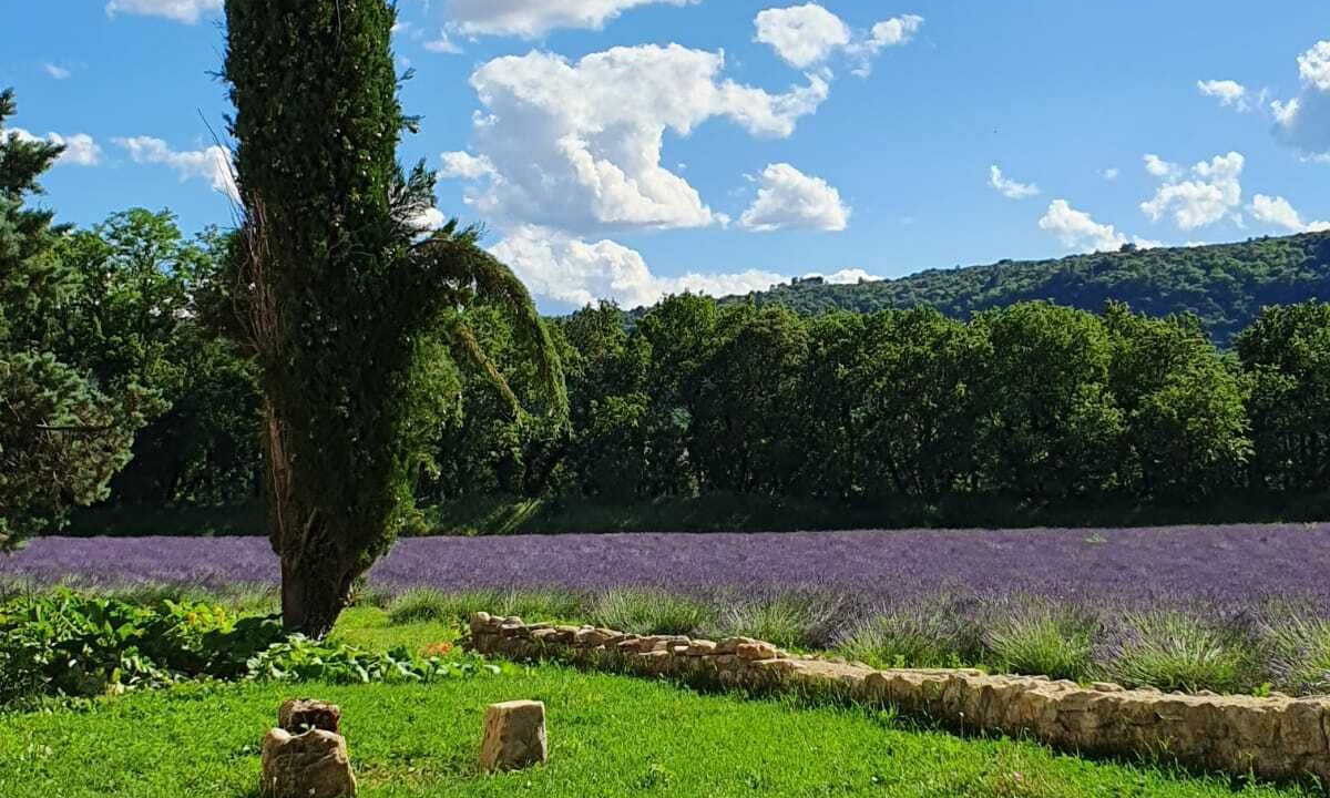 Photo of Outdoor in Saint-Paul-Trois-Chateaux