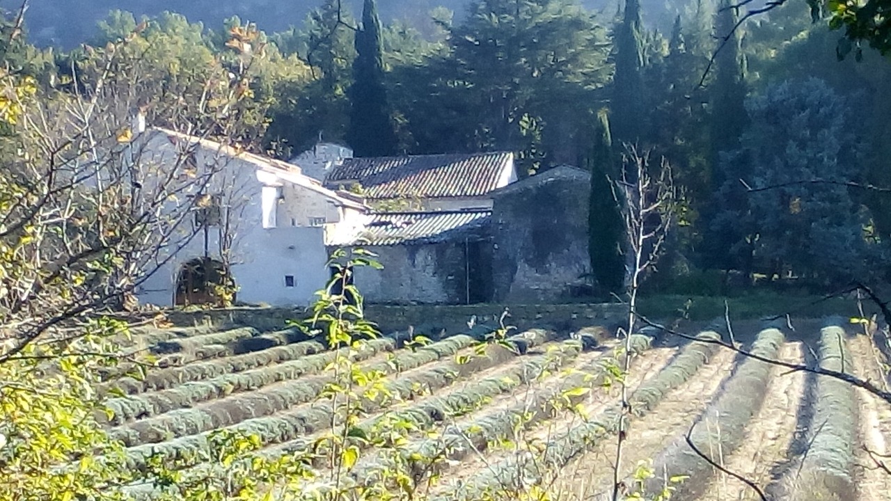 Photo of Outdoor in Saint-Paul-Trois-Chateaux
