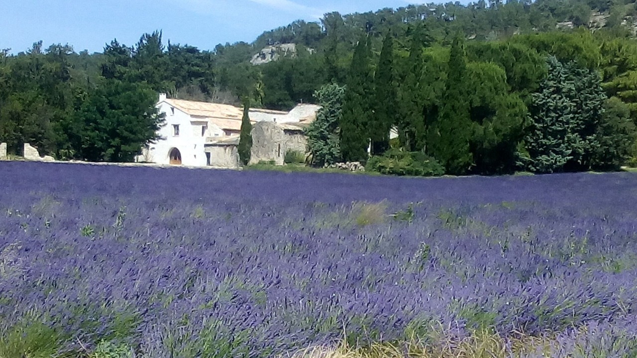 Photo of Outdoor in Saint-Paul-Trois-Chateaux