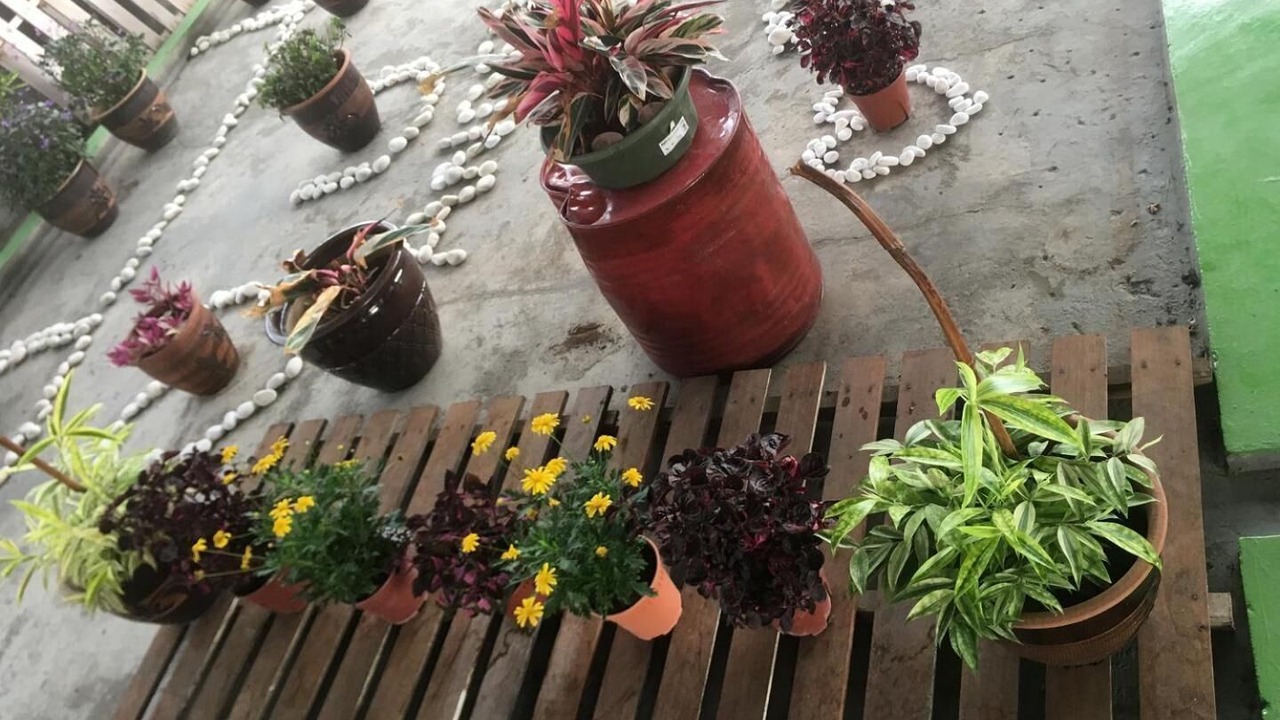 Photo of Outdoor in Jawa