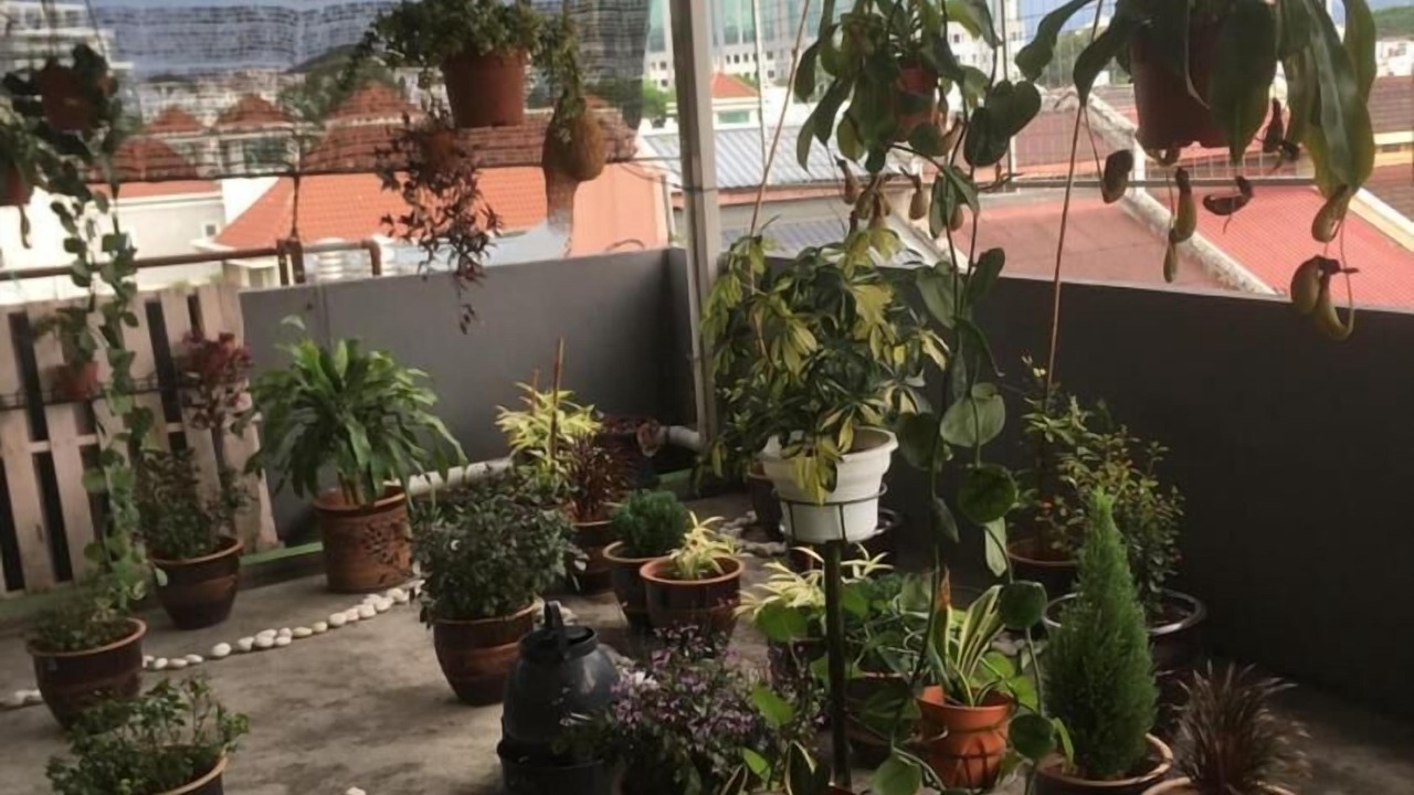 Photo of Outdoor in Jawa