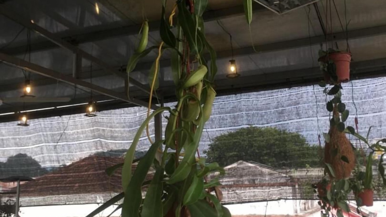 Photo of Outdoor in Jawa