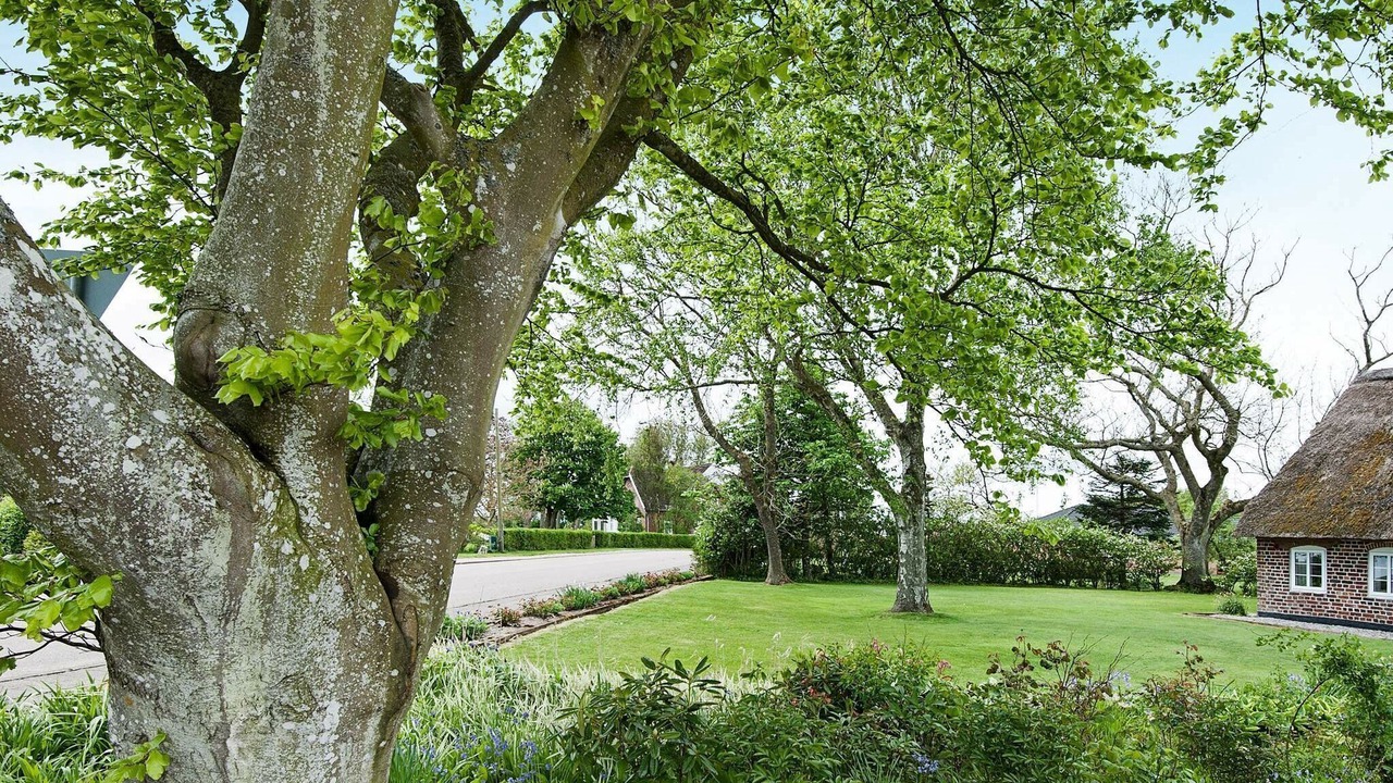 Photo of Outdoor in Ballum