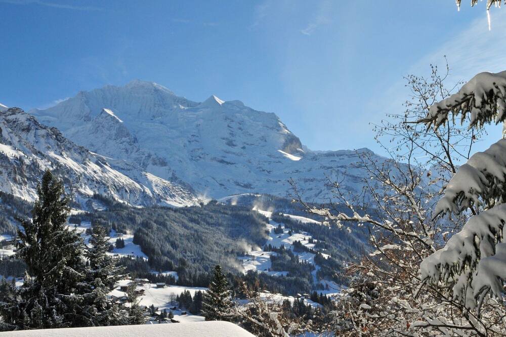 Photo of Others in Wengen