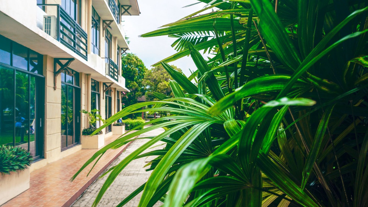 Photo of Others in Kudat