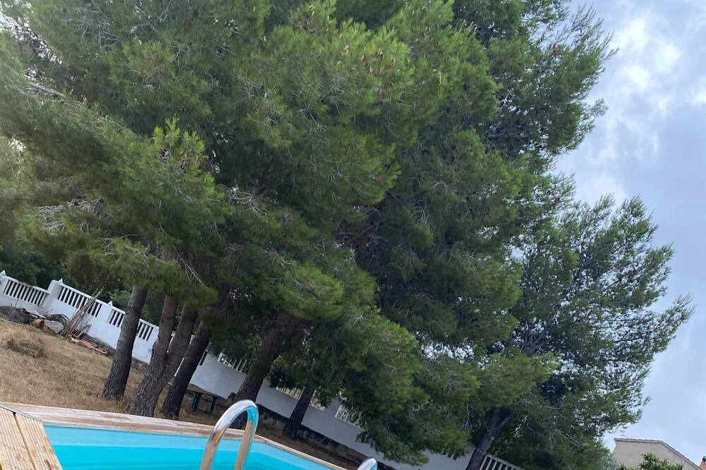 Photo of Outdoor in Godelleta