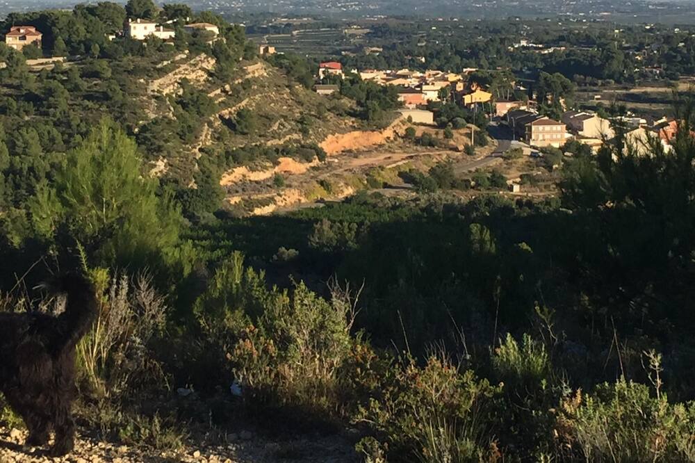 Photo of Others in Godelleta