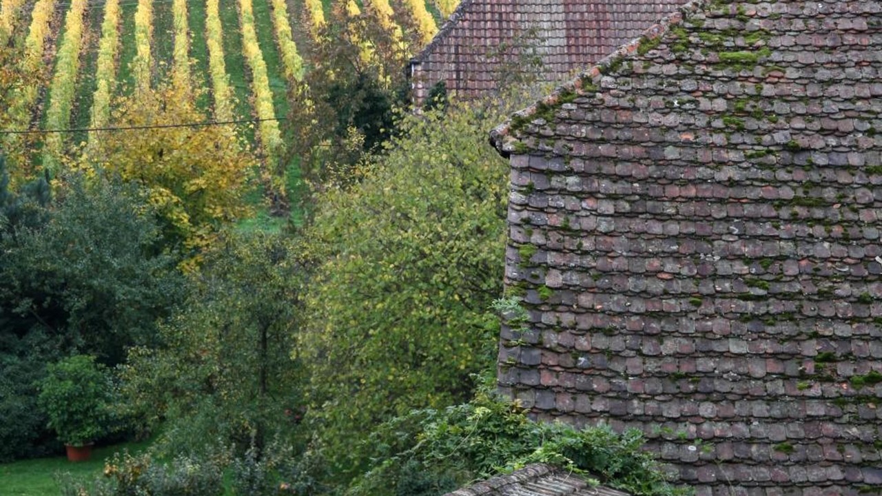 Photo of Outdoor in Rodern