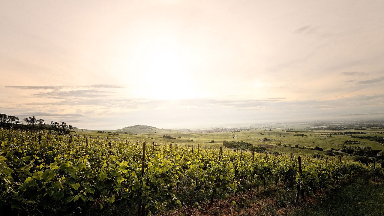 Photo of Outdoor in Rodern