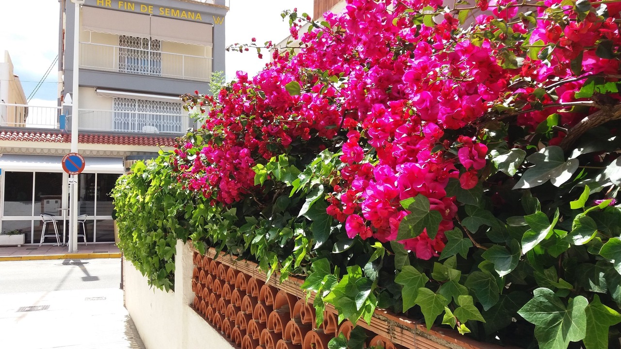 Photo of Outdoor in Grao de Gandia