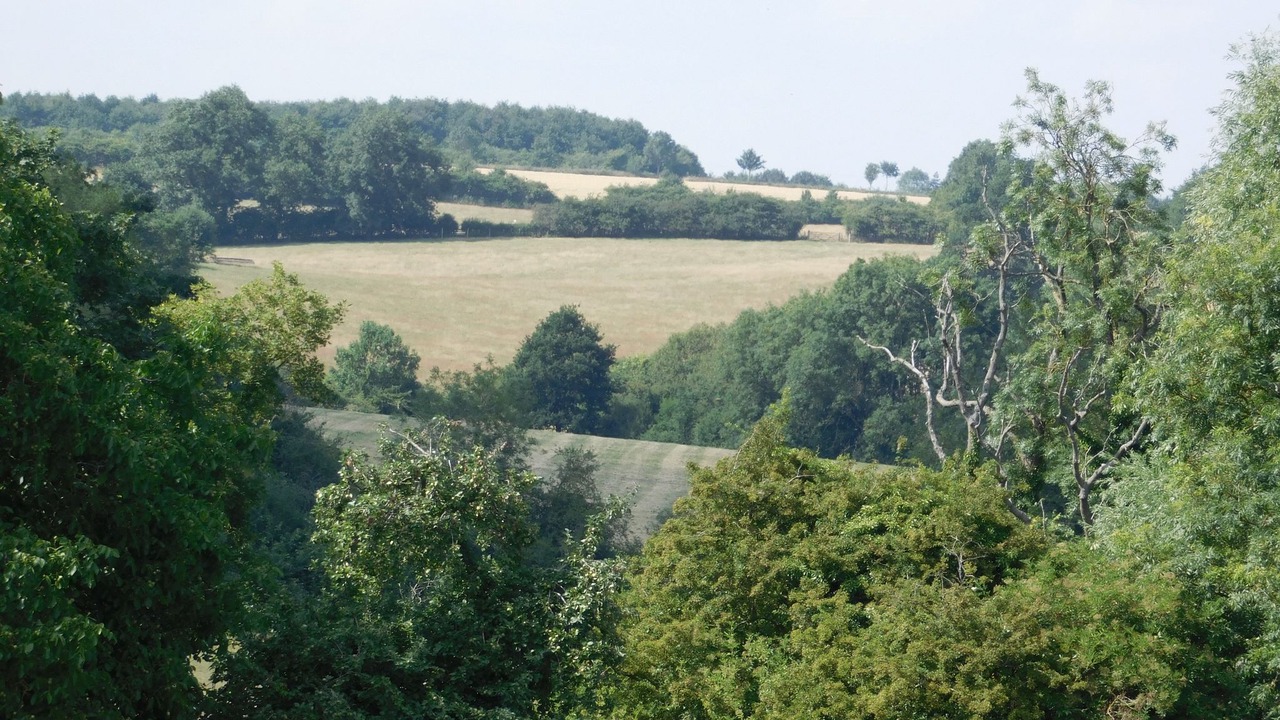 Photo of Others in Sulgrave
