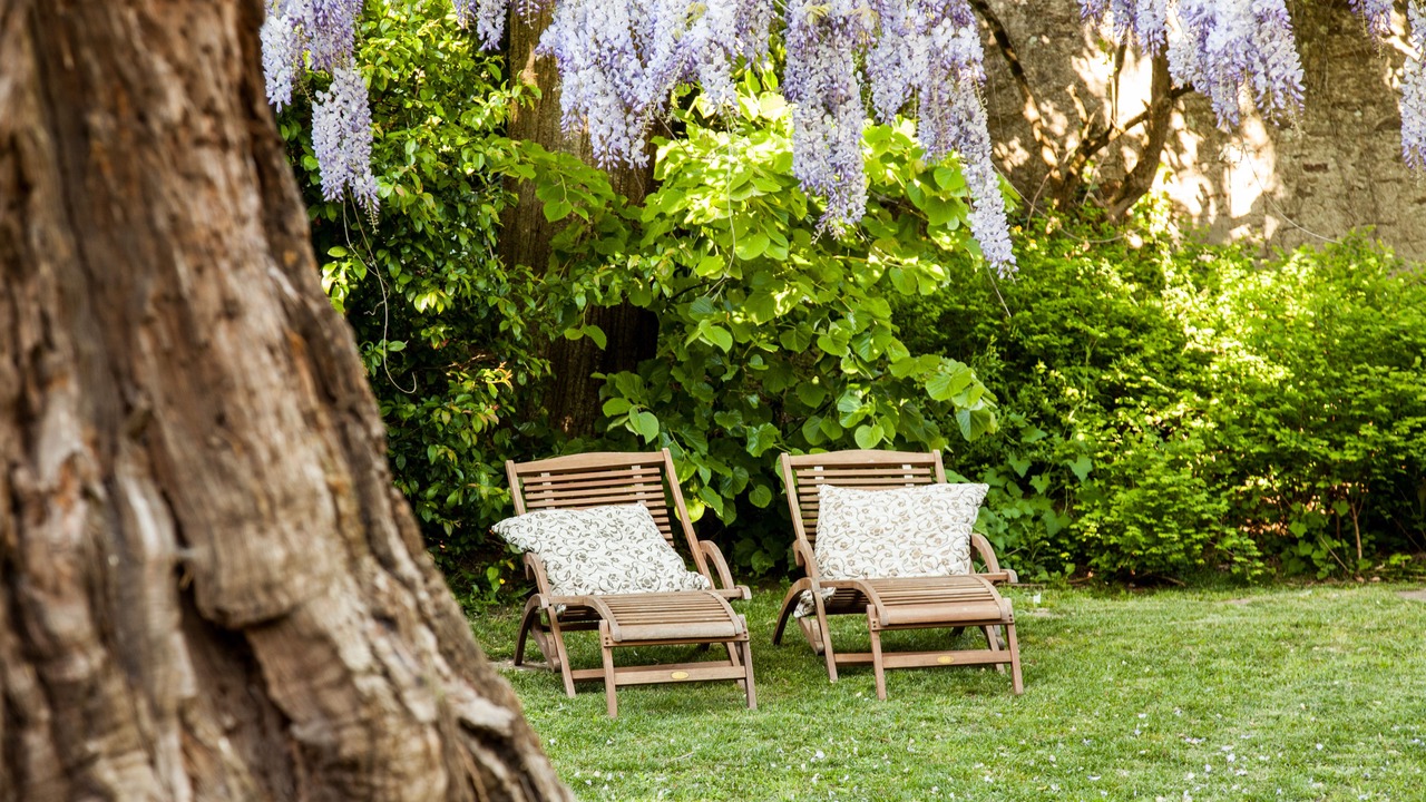 Photo of Outdoor in Le Loroux-Bottereau