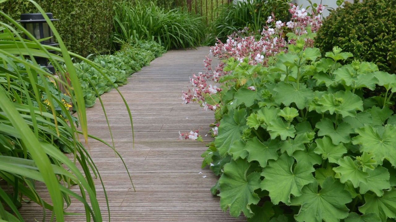 Photo of Others in Wismes