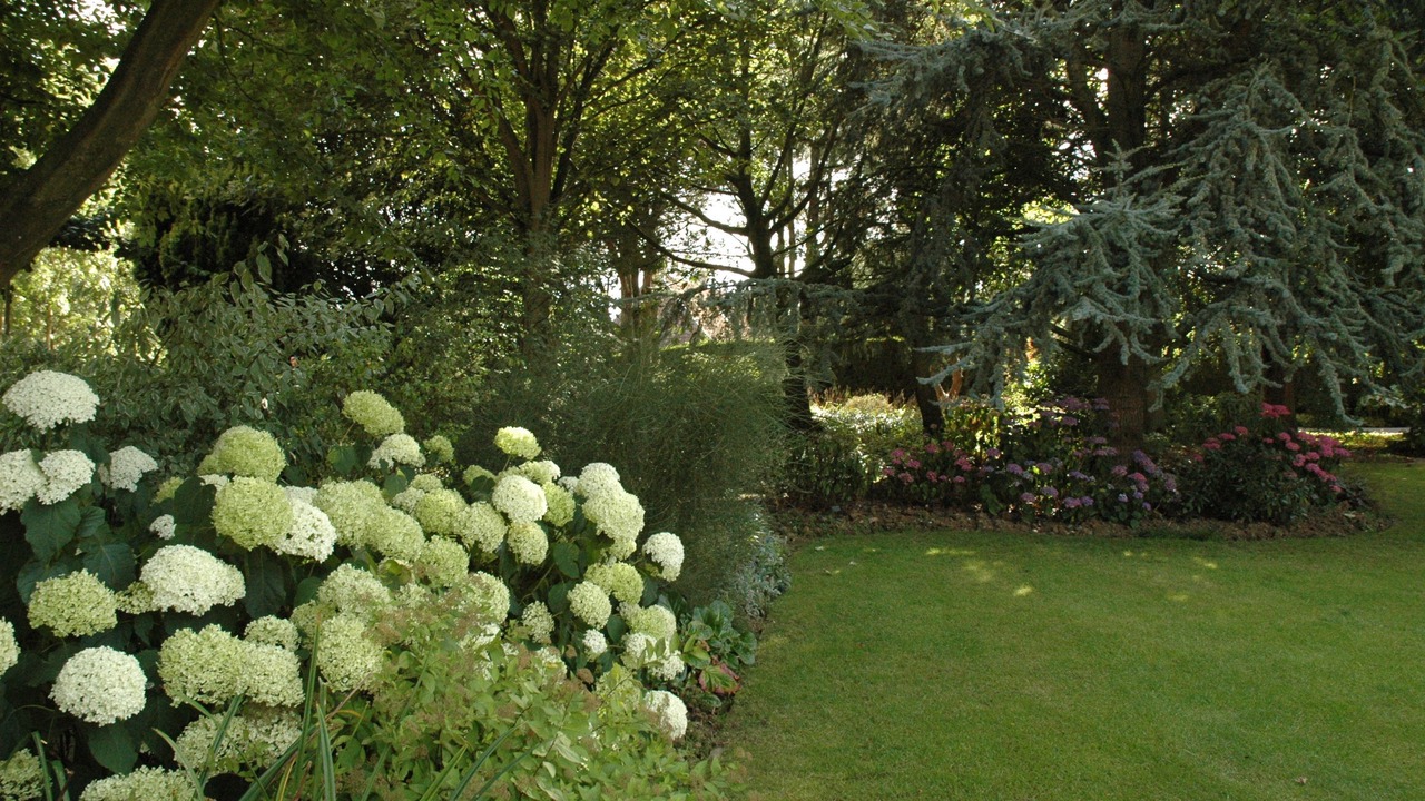 Photo of Others in Wismes