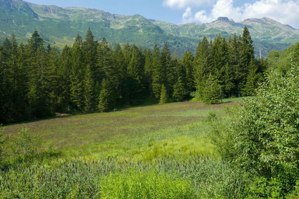 Photo of Outdoor in Olivone