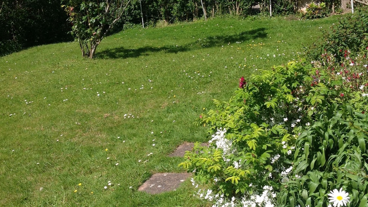 Photo of Outdoor in Benerville-sur-Mer