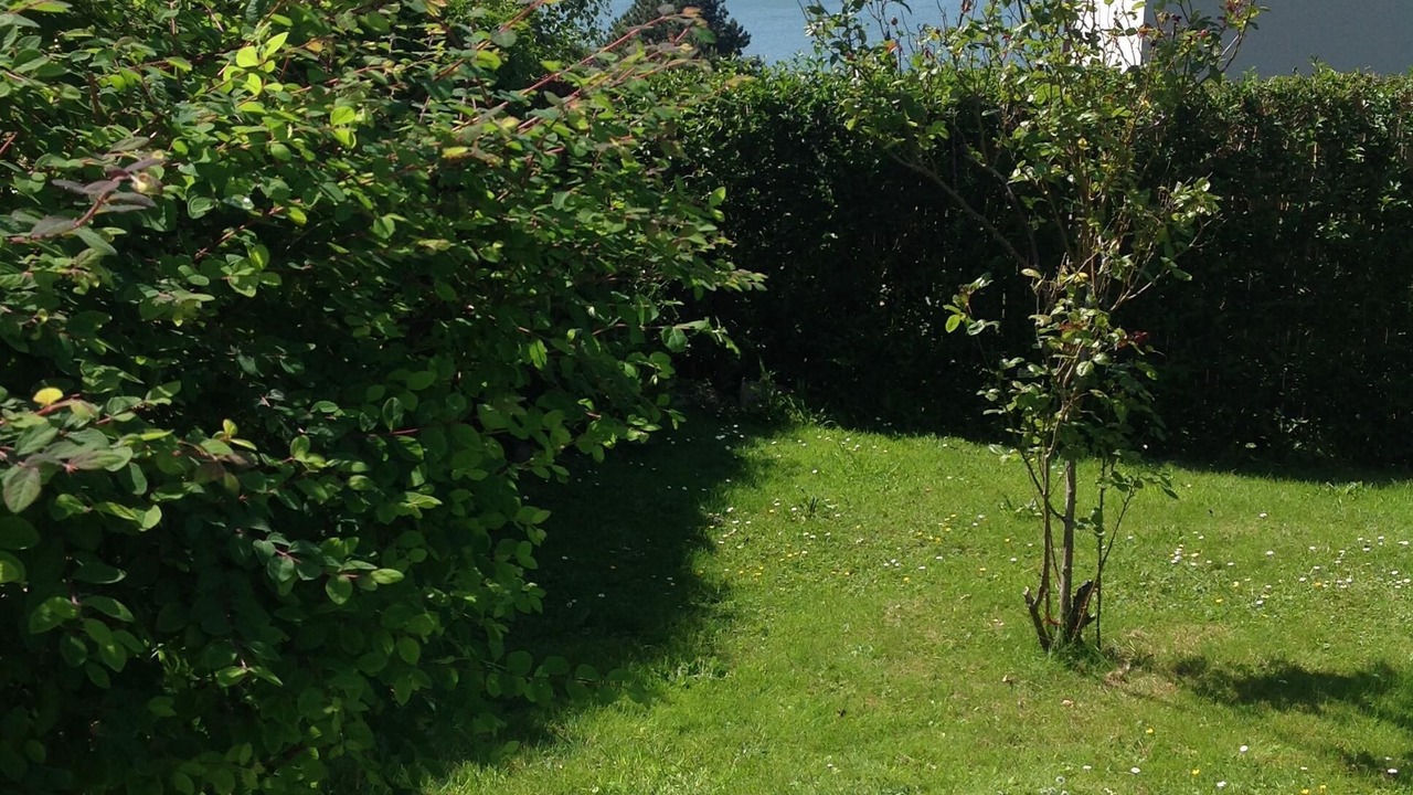 Photo of Outdoor in Benerville-sur-Mer