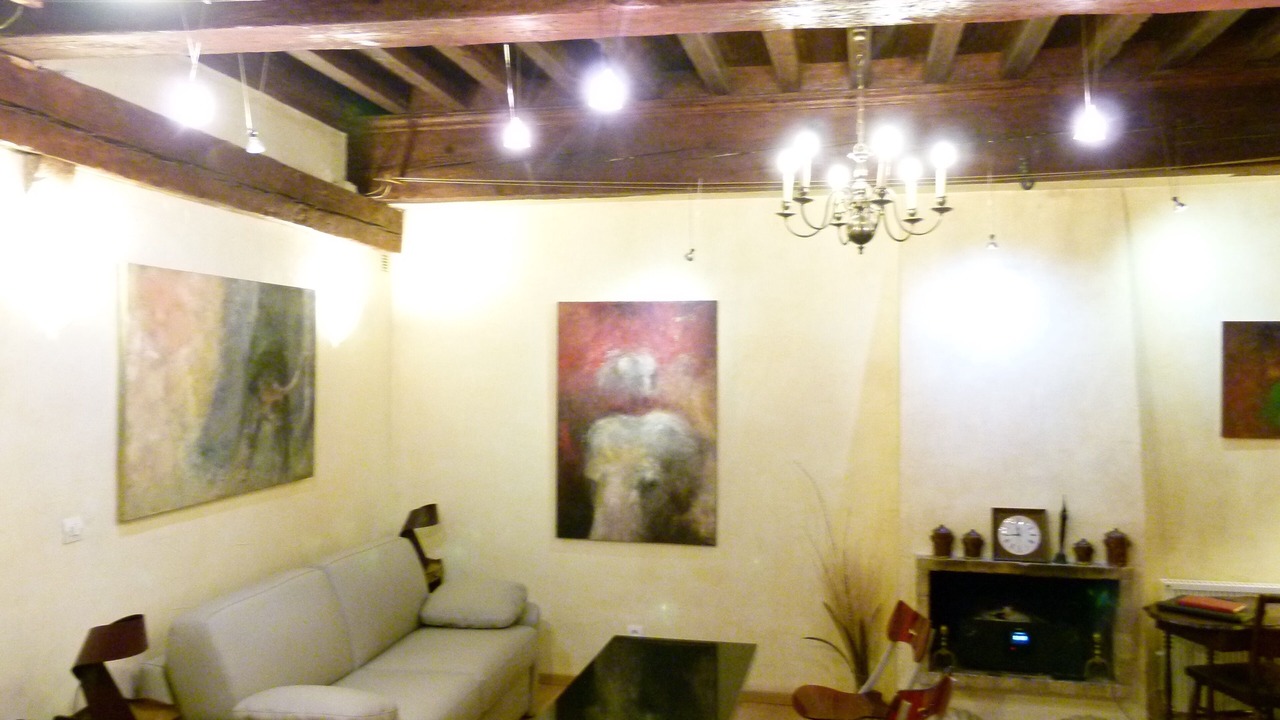 Photo of Livingroom in Old Lyon