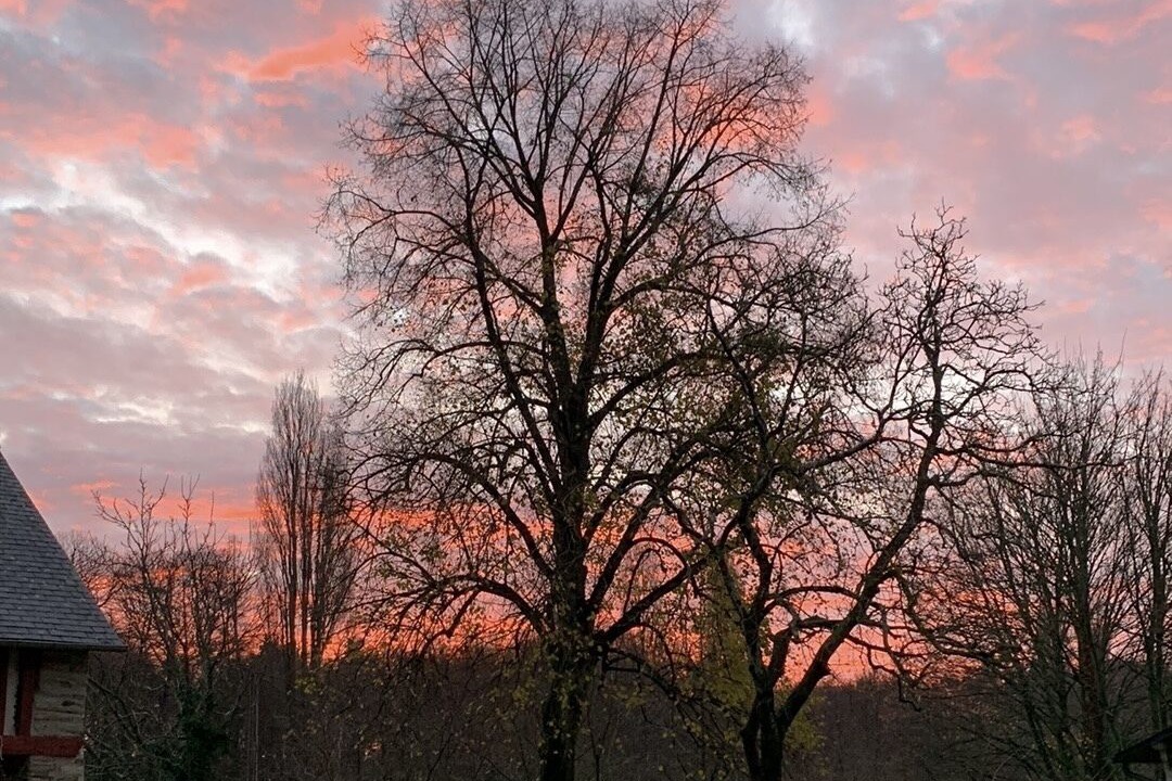 Photo of Outdoor in Domloup