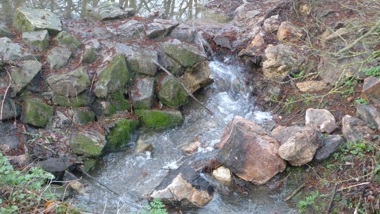 Photo of Outdoor in Domloup