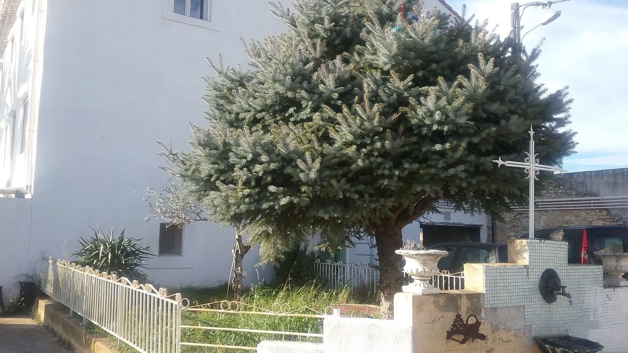 Photo of Outdoor in Codolet