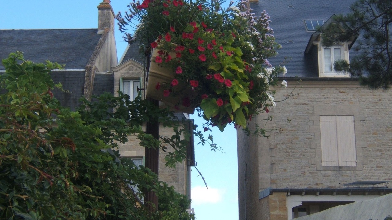 Photo of Others in Saint-Regnobert-de-la-Cote-de-Nacre