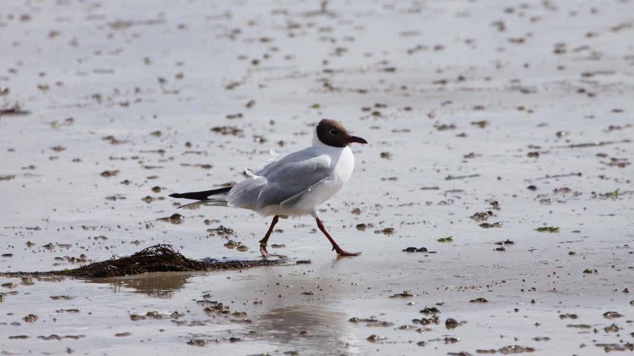 Photo of Outdoor in Saint-Regnobert-de-la-Cote-de-Nacre