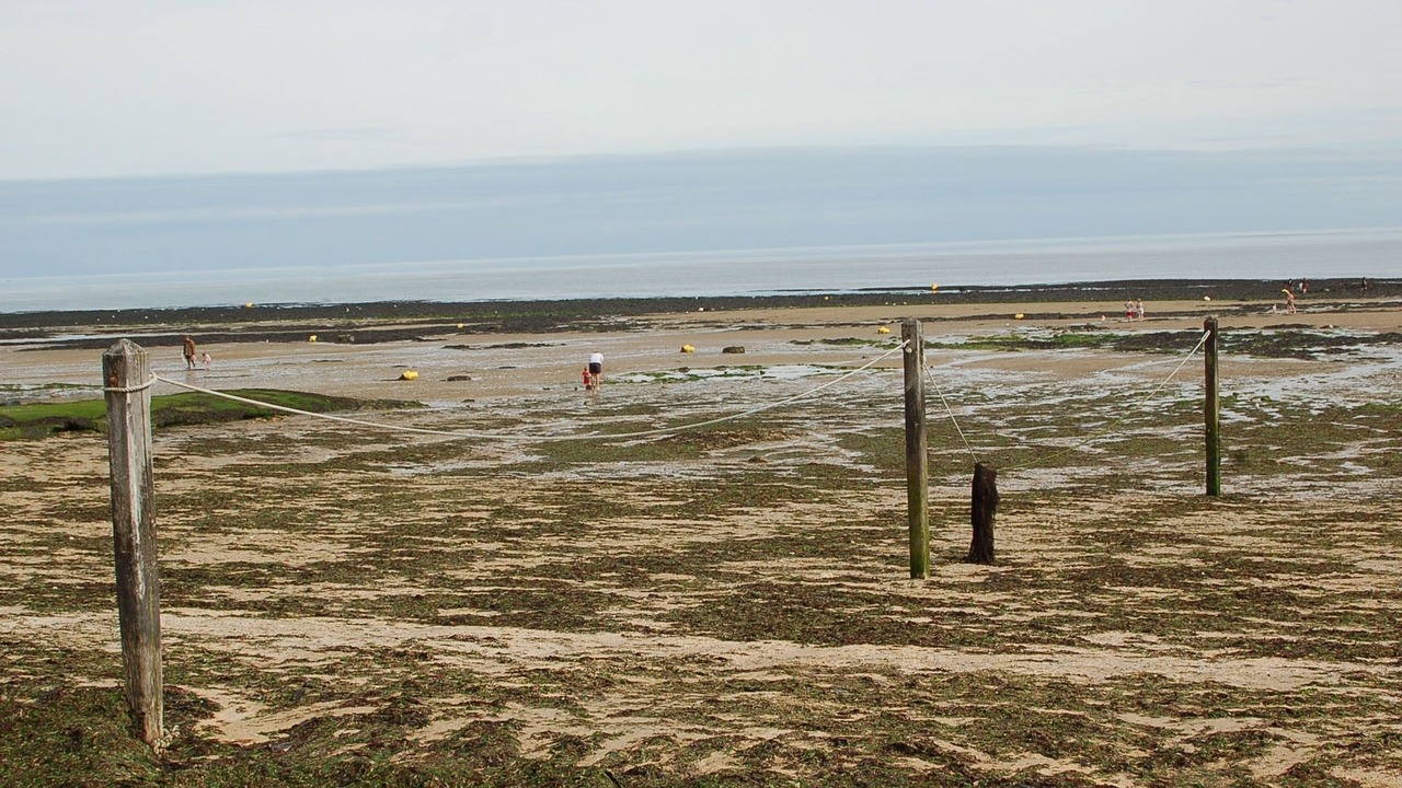 Photo of Others in Saint-Regnobert-de-la-Cote-de-Nacre