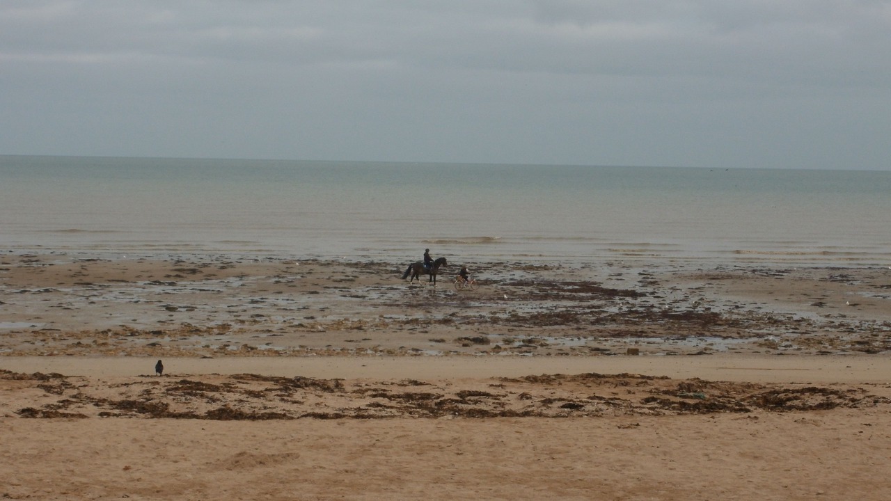 Photo of Others in Saint-Regnobert-de-la-Cote-de-Nacre