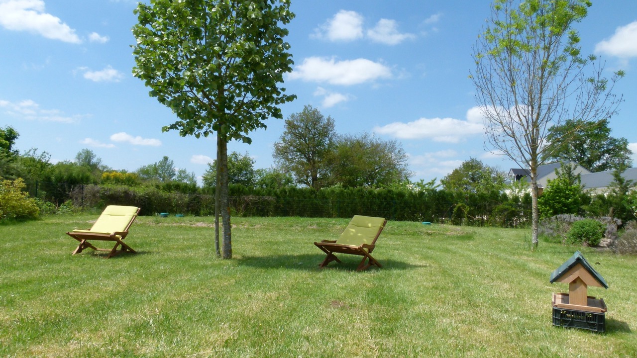 Photo of Outdoor in La Ferte-Saint-Cyr