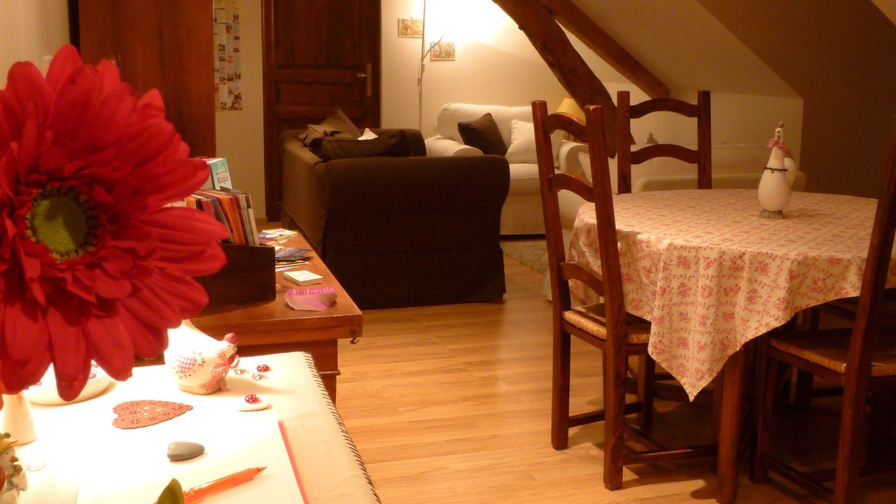 Photo of Others in La Ferte-Saint-Cyr