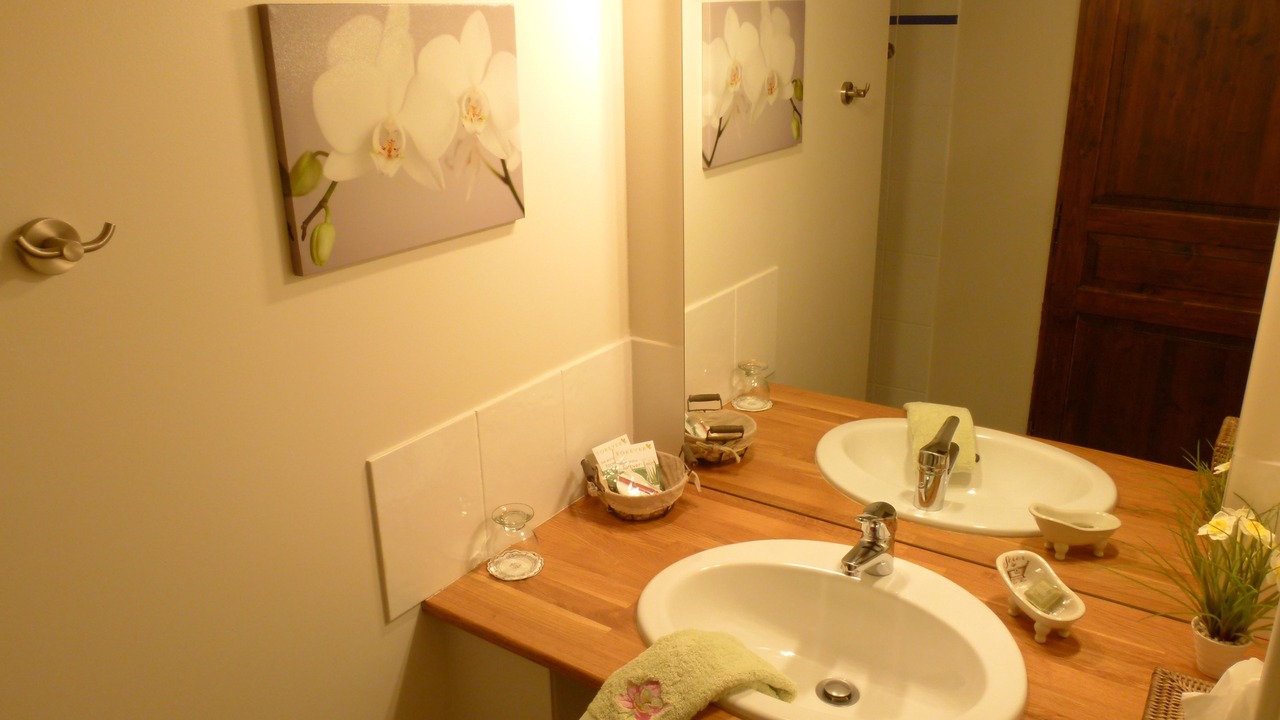 Photo of Bathroom in La Ferte-Saint-Cyr