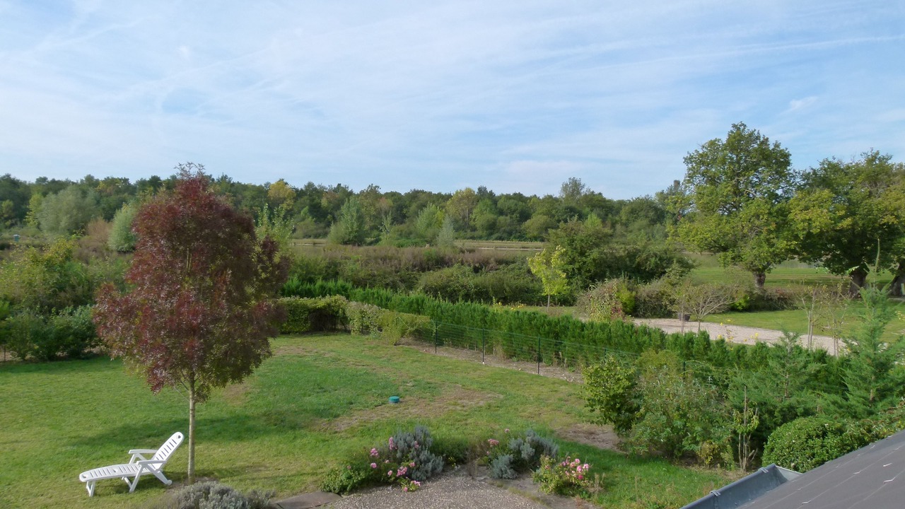 Photo of Others in La Ferte-Saint-Cyr