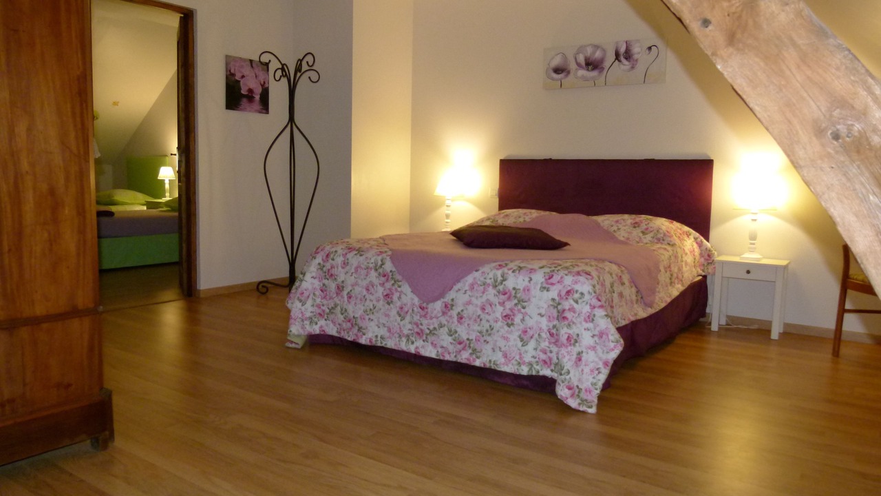 Photo of Others in La Ferte-Saint-Cyr