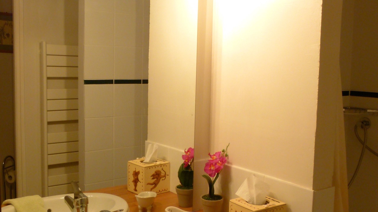 Photo of Bathroom in La Ferte-Saint-Cyr