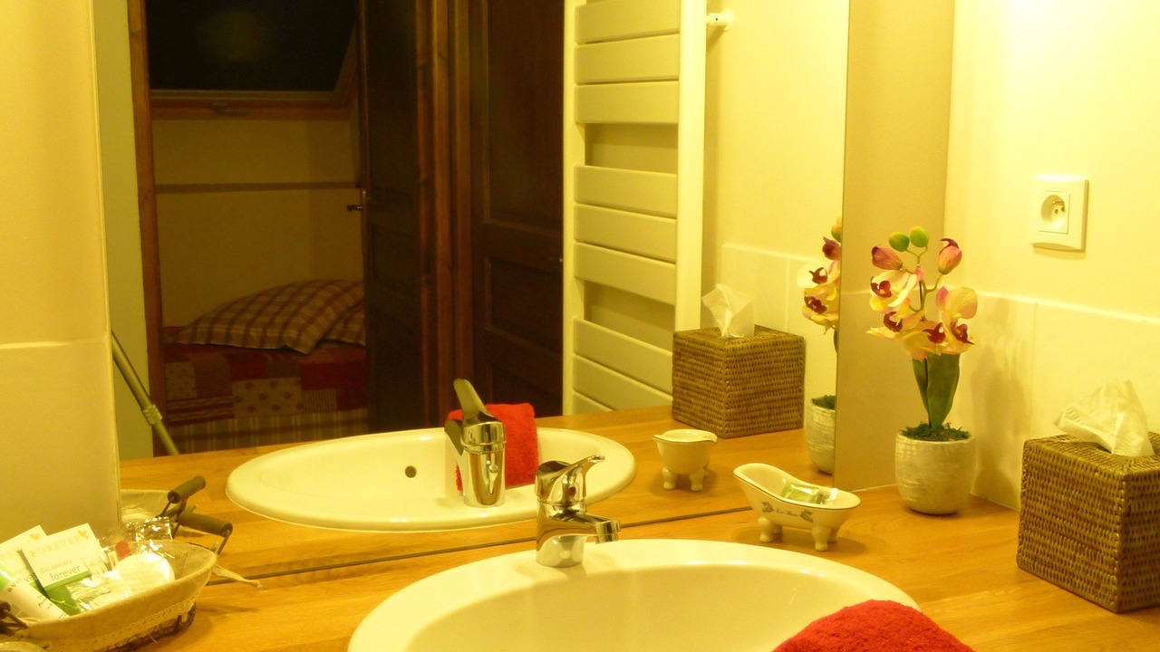 Photo of Bathroom in La Ferte-Saint-Cyr