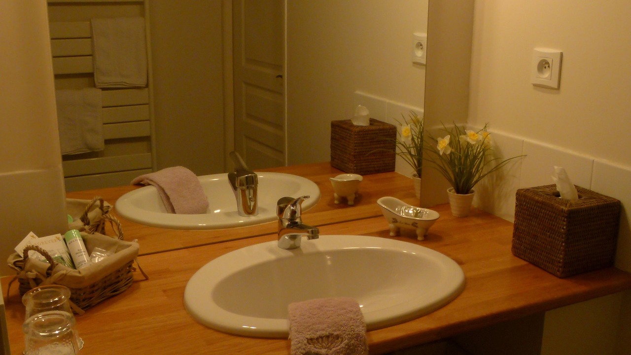 Photo of Bathroom in La Ferte-Saint-Cyr