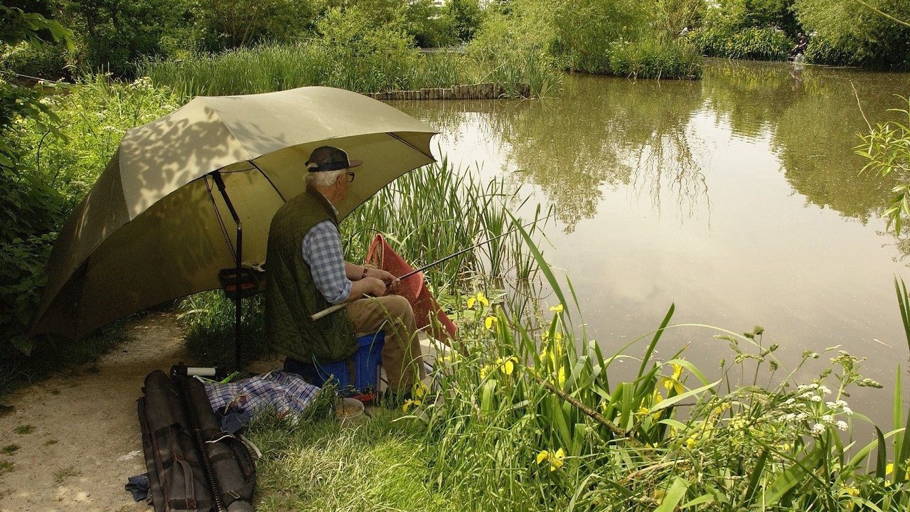 Photo of Others in Wareham