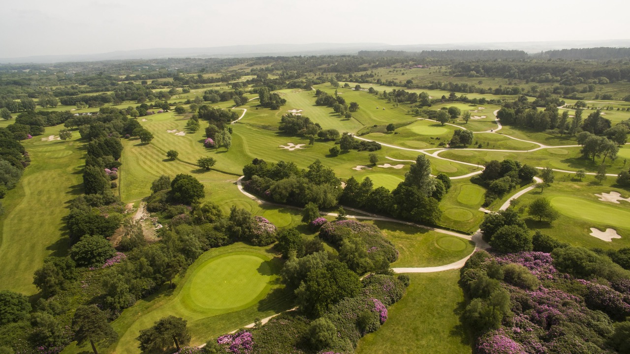 Photo of Others in Wareham