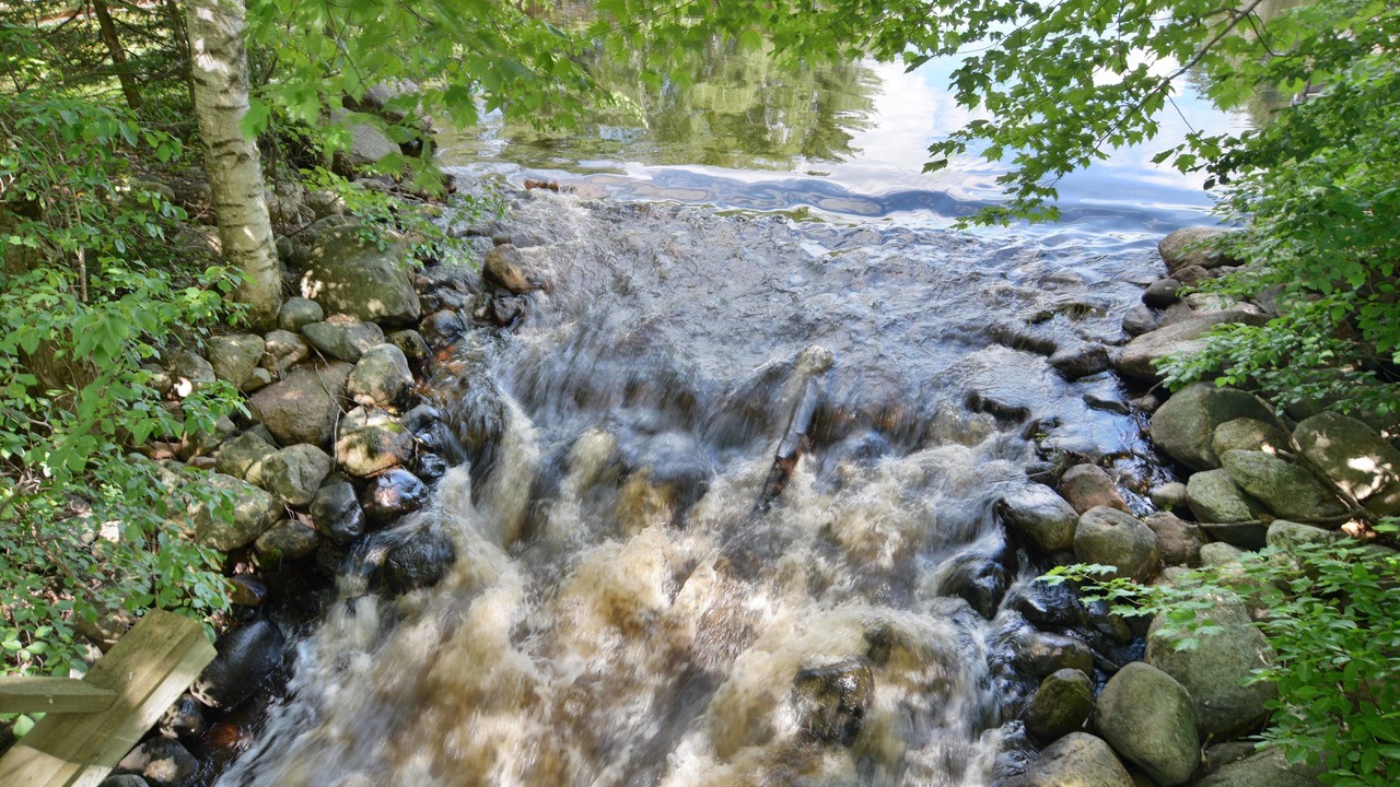 Photo of Others in Clam Lake