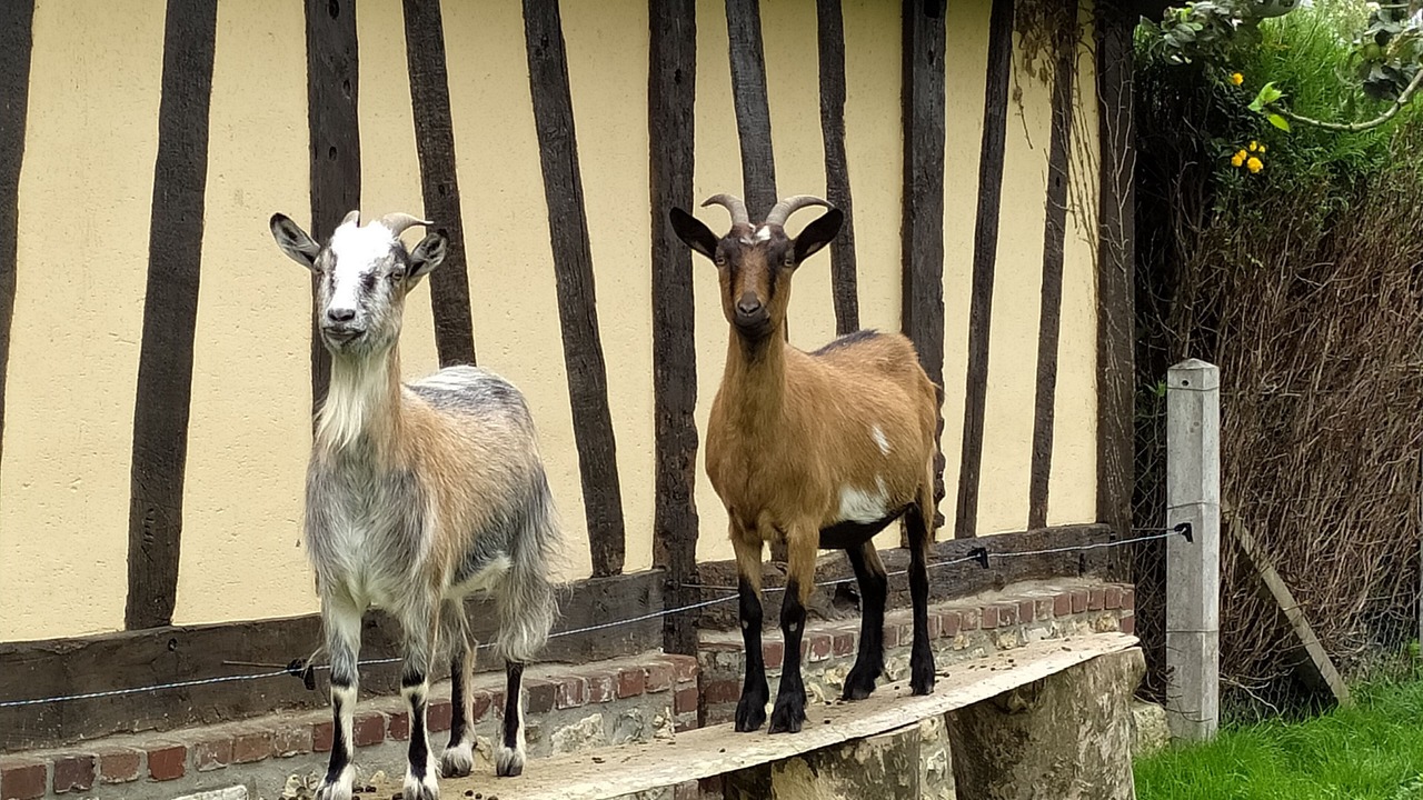 Photo of Outdoor in Berville-sur-Mer